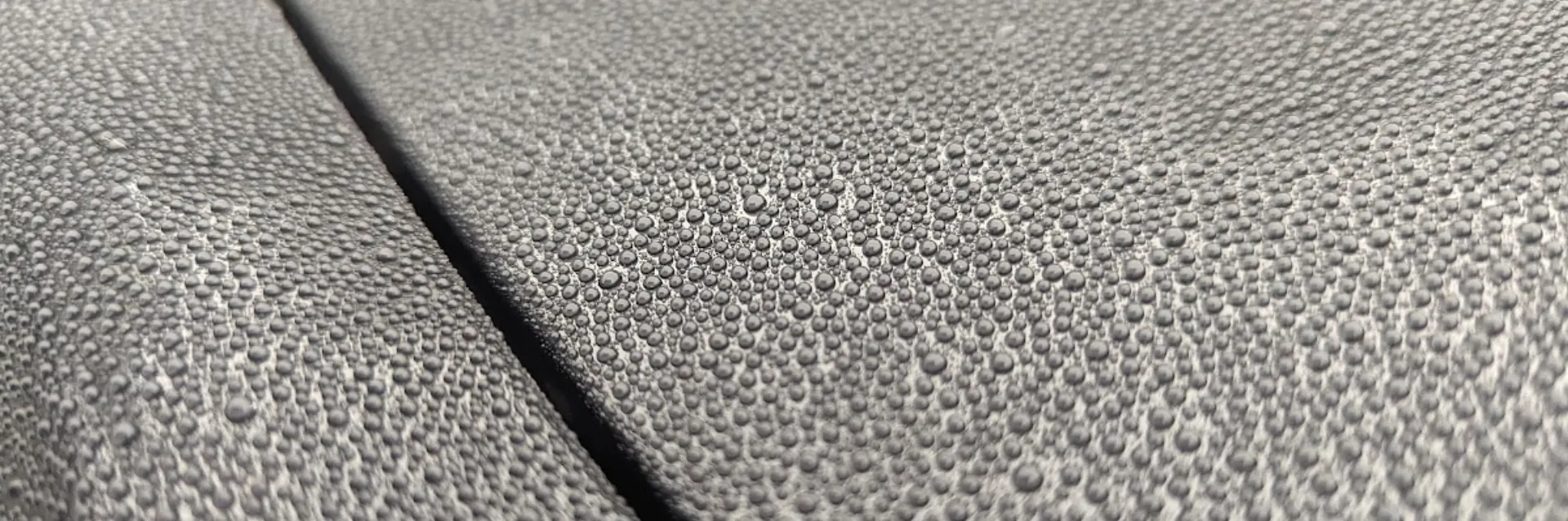Washing my Coated Car